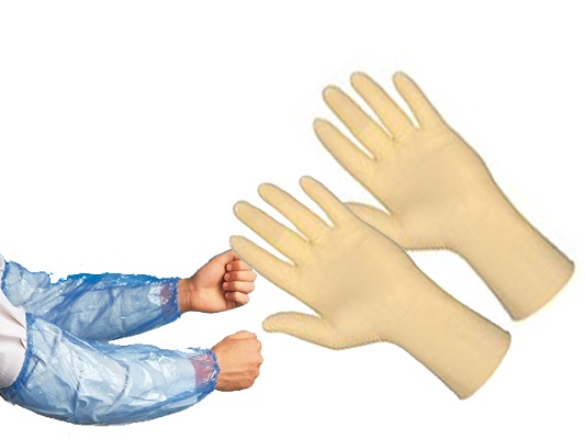 Disposable Gloves-22783